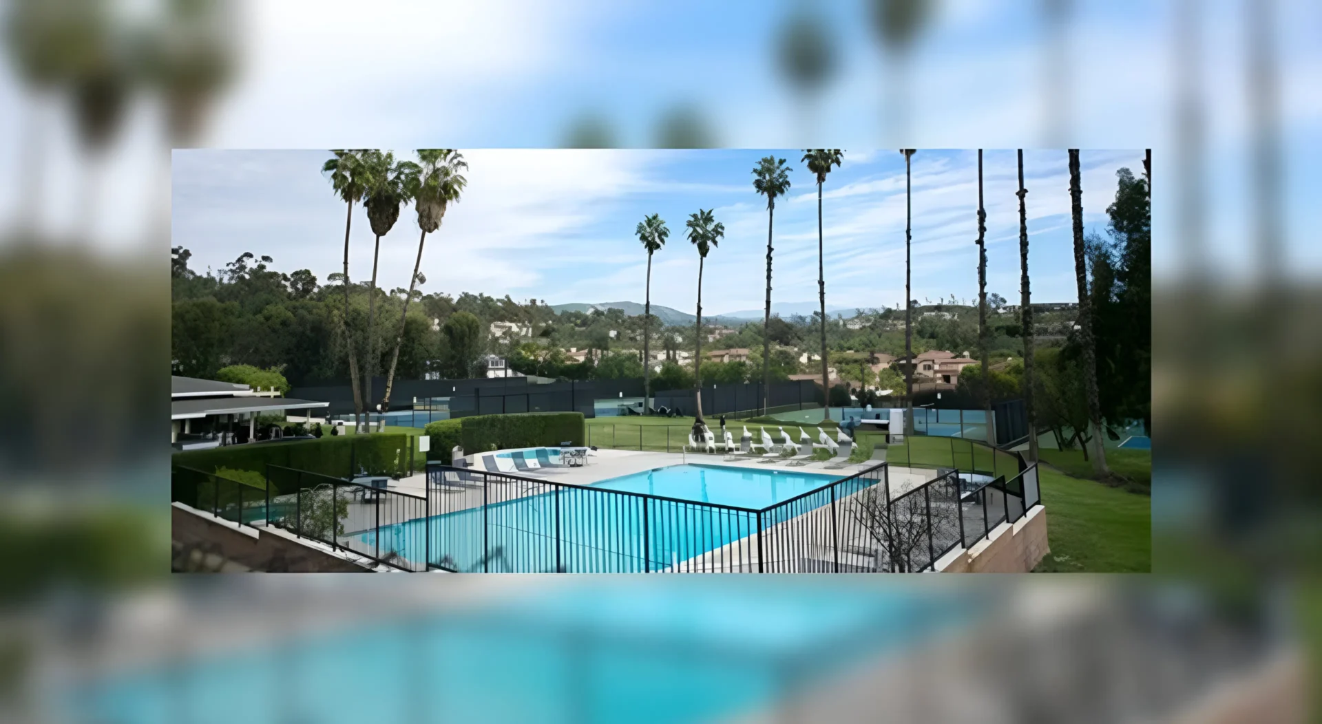 Swimming pool with palm trees and a fence.